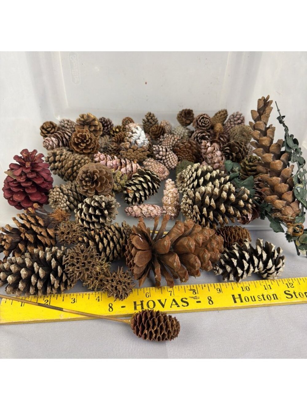 Huge Mix Lot Pinecone Sweet Gum Pods Home Decor Crafts Floral Design